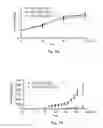 Fig. 03 - COMPOSITION OF INHIBITING PATHOLOGICAL ANGIOGENESIS