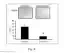 Fig. 06 - COMPOSITION OF INHIBITING PATHOLOGICAL ANGIOGENESIS