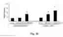 Fig. 11 - COMPOSITION OF INHIBITING PATHOLOGICAL ANGIOGENESIS
