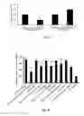 Fig. 12 - COMPOSITION OF INHIBITING PATHOLOGICAL ANGIOGENESIS