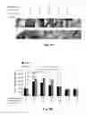 Fig. 13 - COMPOSITION OF INHIBITING PATHOLOGICAL ANGIOGENESIS