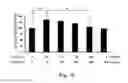 Fig. 14 - COMPOSITION OF INHIBITING PATHOLOGICAL ANGIOGENESIS
