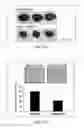 Fig. 18 - COMPOSITION OF INHIBITING PATHOLOGICAL ANGIOGENESIS
