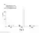 Fig. 04 - Treatment of chronic nephropathies using soluble complement receptor type I (sCR1)