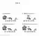 Fig. 05 - Inhibitors of human EZH2 and methods of use thereof