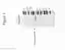 Fig. 10 - Recombinant soluble truncated IL-23 receptor (IL-23R) capable of inhibiting IL-23R-mediated cell signaling
