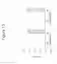 Fig. 18 - Recombinant soluble truncated IL-23 receptor (IL-23R) capable of inhibiting IL-23R-mediated cell signaling
