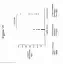 Fig. 20 - Recombinant soluble truncated IL-23 receptor (IL-23R) capable of inhibiting IL-23R-mediated cell signaling