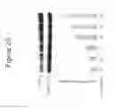 Fig. 29 - Recombinant soluble truncated IL-23 receptor (IL-23R) capable of inhibiting IL-23R-mediated cell signaling
