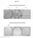 Fig. 04 - Methods and compositions for treating lung cancer