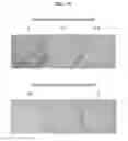 Fig. 06 - Methods and compositions for treating lung cancer