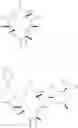 Fig. 10 - Antibacterial agents