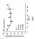 Fig. 08 - Platycodin Radix Extracts, and Their Use in Treating Disease Conditions Associated with Angiogenesis