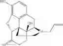 Fig. 25 - CENTRAL ADMINISTRATION OF STABLE FORMULATIONS OF THERAPEUTIC AGENTS FOR CNS CONDITIONS