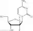 Fig. 47 - Pharmaceutical combinations for treatment of specific cancers