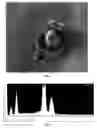 Fig. 02 - Method and composition for the control of ectoparasites