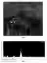 Fig. 03 - Method and composition for the control of ectoparasites