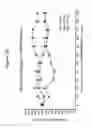 Fig. 08 - Combination therapy for the treatment of multiple myeloma