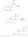 Fig. 28 - Steroid compounds and treatment methods