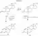 Fig. 33 - Steroid compounds and treatment methods
