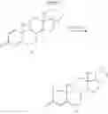Fig. 35 - Steroid compounds and treatment methods