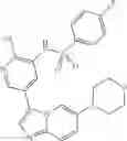 Fig. 22 - Inhibitors of PI3 kinase