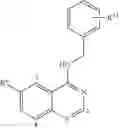 Fig. 16 - CDKI pathway inhibitors and uses thereof