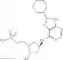 Fig. 134 - Heteroaryl compounds useful as inhibitors of E1 activating enzymes