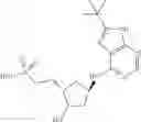 Fig. 137 - Heteroaryl compounds useful as inhibitors of E1 activating enzymes