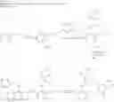 Fig. 178 - Heteroaryl compounds useful as inhibitors of E1 activating enzymes
