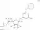 Fig. 183 - Heteroaryl compounds useful as inhibitors of E1 activating enzymes