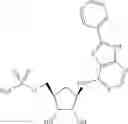 Fig. 29 - Heteroaryl compounds useful as inhibitors of E1 activating enzymes