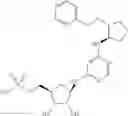 Fig. 95 - Heteroaryl compounds useful as inhibitors of E1 activating enzymes