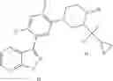 Fig. 12 - Pyrazolopyridine kinase inhibitors