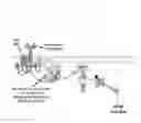 Fig. 02 - METHODS OF TREATING ABC-DLBCL USING INHIBITORS OF BRUTON'S TYROSINE KINASE