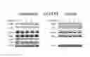Fig. 07 - METHODS OF TREATING ABC-DLBCL USING INHIBITORS OF BRUTON'S TYROSINE KINASE