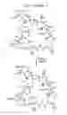 Fig. 111 - Macrocyclic lactone compounds and methods for their use