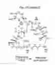 Fig. 112 - Macrocyclic lactone compounds and methods for their use