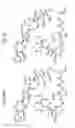 Fig. 40 - Macrocyclic lactone compounds and methods for their use