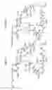 Fig. 79 - Macrocyclic lactone compounds and methods for their use
