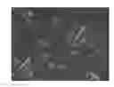 Fig. 01 - Crystalline forms of a factor Xa inhibitor