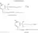 Fig. 22 - COMPOUNDS FOR THE TREATMENT OF METABOLIC DISORDERS
