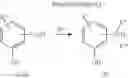 Fig. 31 - COMPOUNDS FOR THE TREATMENT OF METABOLIC DISORDERS