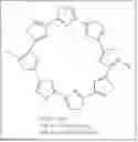 Fig. 19 - Therapeutic compounds