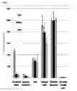 Fig. 06 - Anti-fungal formulation
