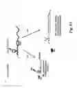 Fig. 10 - COMPOUNDS AND METHODS FOR MODULATING THE SILENCING OF A POLYNUCLEOTIDE OF INTEREST