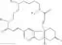 Fig. 104 - COMPOUNDS AND METHODS FOR MODULATING THE SILENCING OF A POLYNUCLEOTIDE OF INTEREST