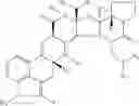 Fig. 116 - COMPOUNDS AND METHODS FOR MODULATING THE SILENCING OF A POLYNUCLEOTIDE OF INTEREST