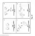 Fig. 12 - COMPOUNDS AND METHODS FOR MODULATING THE SILENCING OF A POLYNUCLEOTIDE OF INTEREST