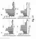 Fig. 13 - COMPOUNDS AND METHODS FOR MODULATING THE SILENCING OF A POLYNUCLEOTIDE OF INTEREST